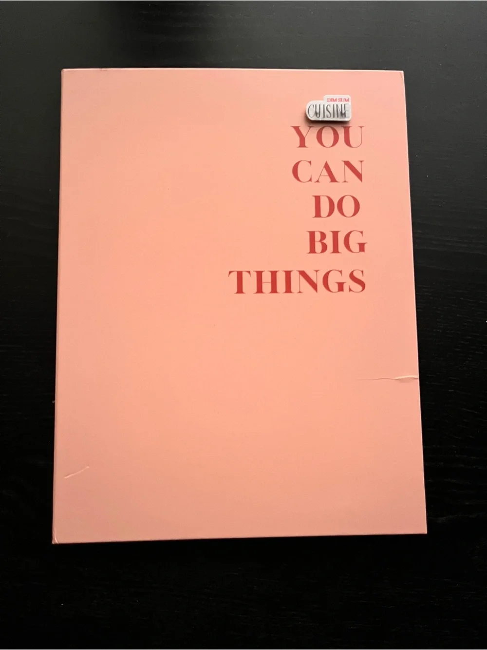 Lamare You Can Do Big Things Pink Vision Board